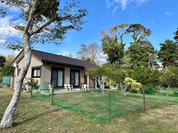 Ｄ−ｌｕｃｋ　ｃｏｔｔａｇｅ